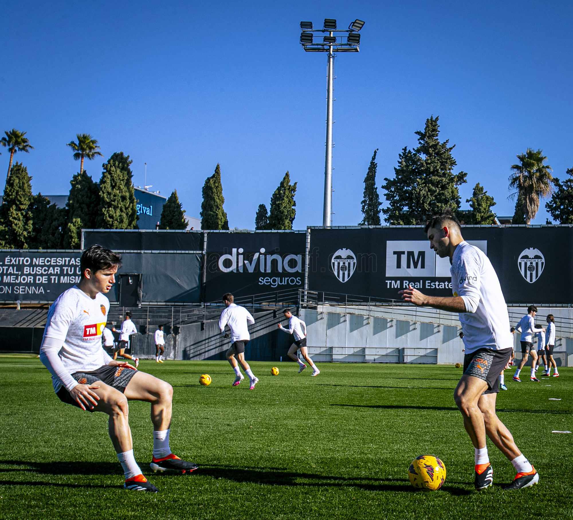 mejores imágenes del entrenamiento 01-02-2024 - Valencia CF
